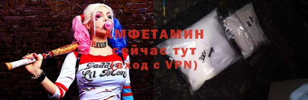 прущие грибы Новодвинск