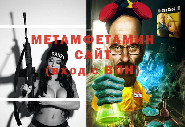 прущие грибы Новодвинск