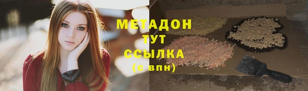 прущие грибы Новодвинск