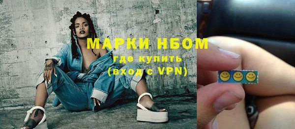 прущие грибы Новодвинск