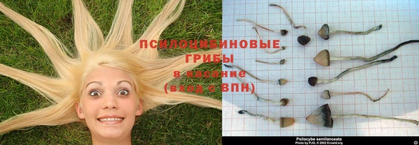 трава Нягань