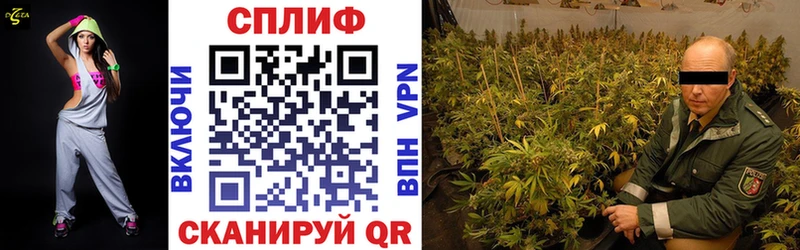 купить наркоту Полярный МАРИХУАНА индика